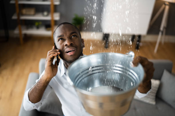 Best Water damage restoration near me  in Honsville, GA