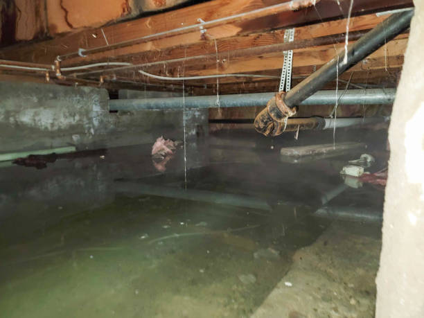Best Residential water damage restoration  in Honsville, GA
