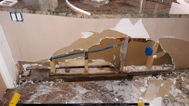 Best Ceiling water damage repair  in Honsville, GA