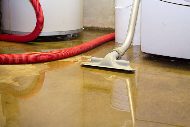 Best Carpet water damage restoration  in Honsville, GA