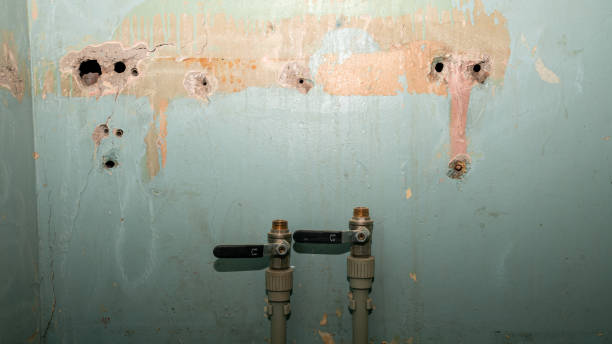 Best Ceiling water damage repair  in Honsville, GA