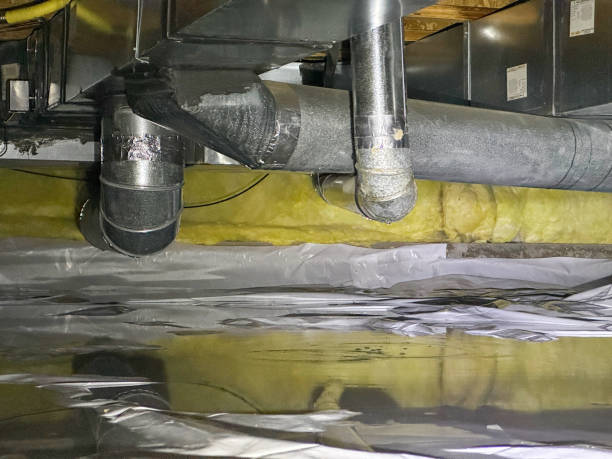 Best Local water damage restoration  in Honsville, GA