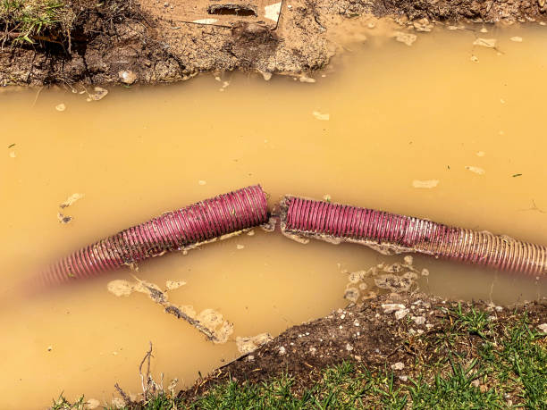 Best Sewage cleanup and water damage restoration  in Honsville, GA